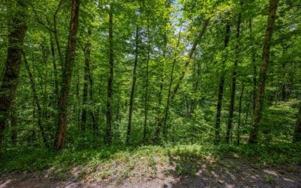 1618 Walnut Flats Road, Walland, TN 37886 - Photo 10