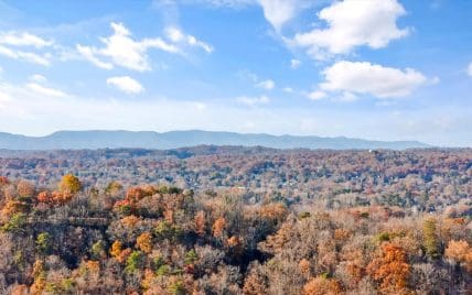 1117 Hiawassee Ave, Knoxville, TN 37917 - Photo 41