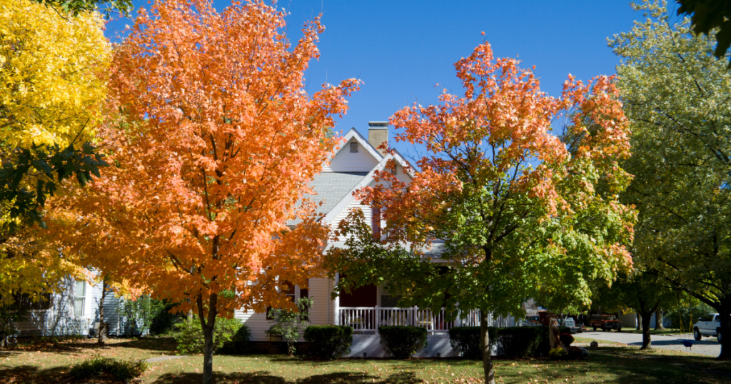 home in the fall