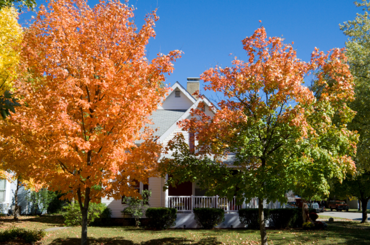 Smart Moves: Upsizing or Downsizing Before the New Year