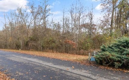 Lot 167 E Shore Drive, Rockwood, TN 37854 - Photo 11