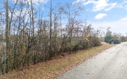 Lot 167 E Shore Drive, Rockwood, TN 37854 - Photo 12