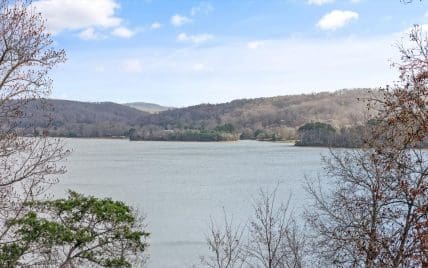 Lot 167 E Shore Drive, Rockwood, TN 37854 - Photo 10