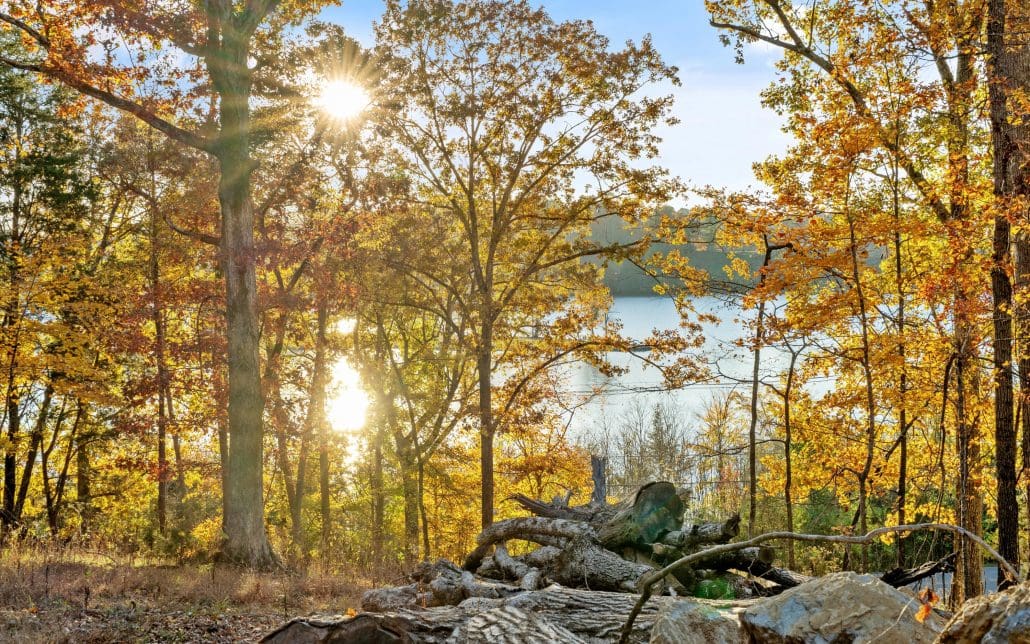 3200 Keller Bend Road, Knoxville, TN 37922 - Photo 19