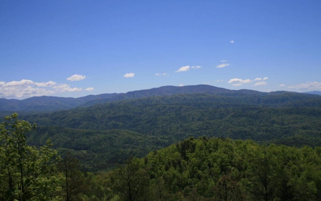 4951 Look Rock Crest Drive, Maryville, TN 37803 - Photo 25