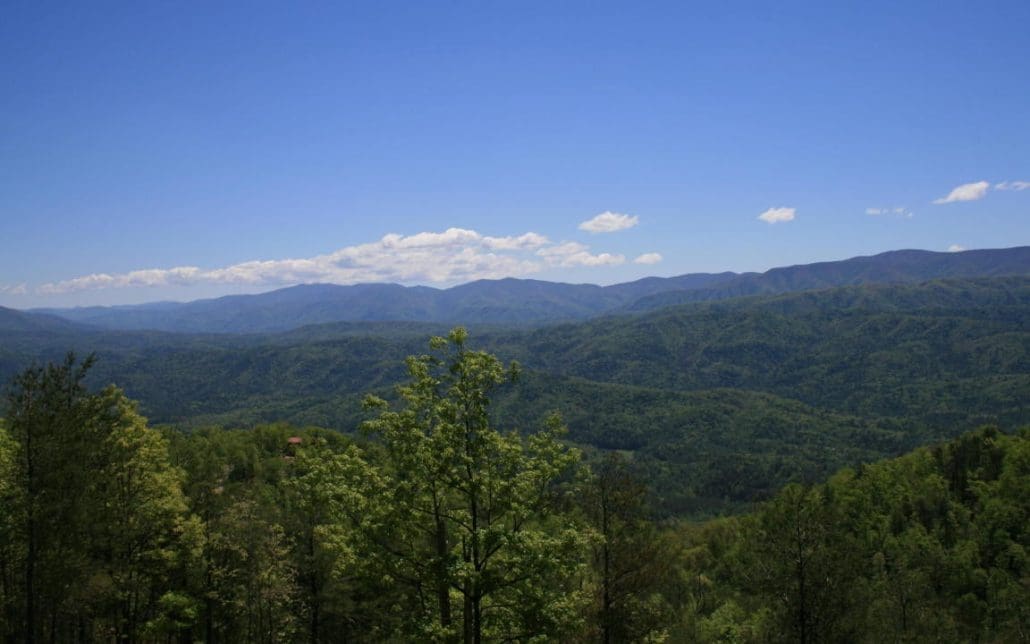 4951 Look Rock Crest Drive, Maryville, TN 37803 - Photo 27