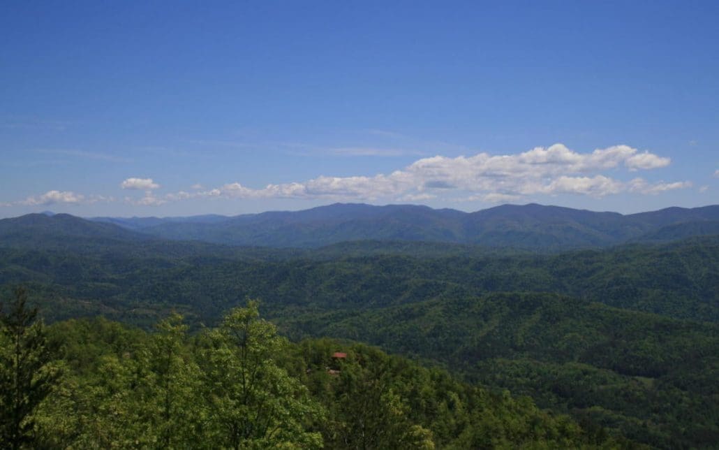 4951 Look Rock Crest Drive, Maryville, TN 37803 - Photo 28
