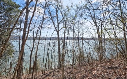 Lot 170 E Shore Drive, Rockwood, TN 37854 - Photo 16