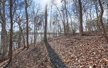 Lot 170 E Shore Drive, Rockwood, TN 37854 - Photo 18