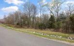 Lot 123 E Shore Drive, Rockwood, TN 37854 - Photo 8