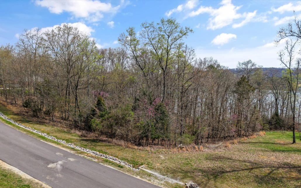 Lot 123 E Shore Drive, Rockwood, TN 37854 - Photo 10
