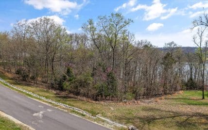 Lot 123 E Shore Drive, Rockwood, TN 37854 - Photo 10