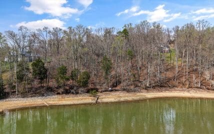 Lot 123 E Shore Drive, Rockwood, TN 37854 - Photo 4