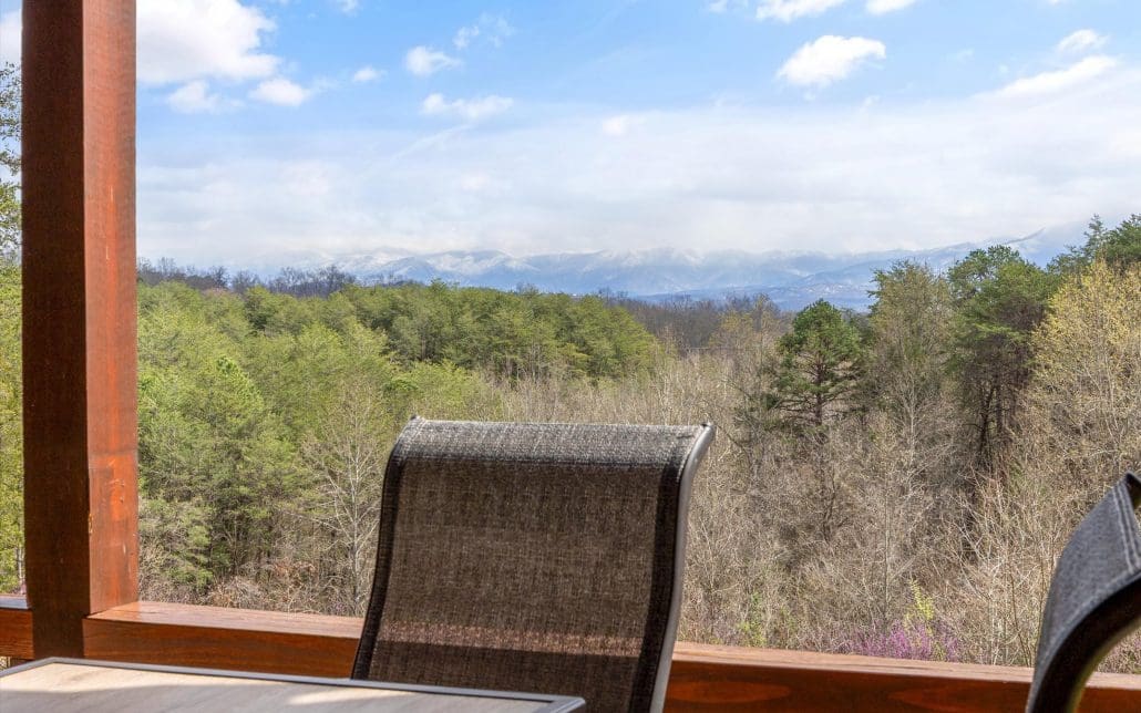 669 Stockton Drive, Sevierville, TN 37876 - Photo 20