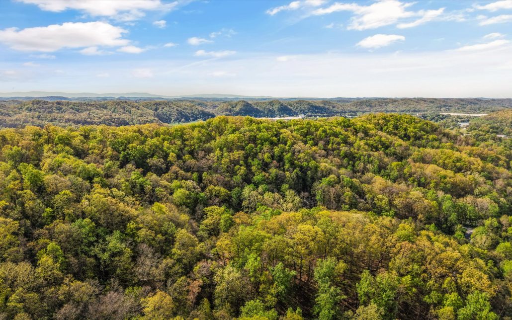 257 Lone Ridge Lane, Clinton, TN 37716 - Photo 59