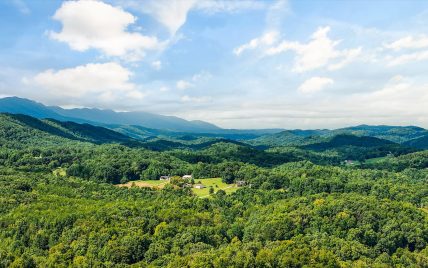 4117 Rocky Branch Road, Walland, TN 37886 - Photo 41