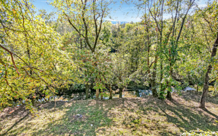 10830 Dundee Rd Knoxville, TN 37934 - Photo 10