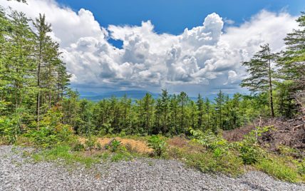 Tract 21 Look Rock Crest Drive Maryville, TN 37803 - Photo 13