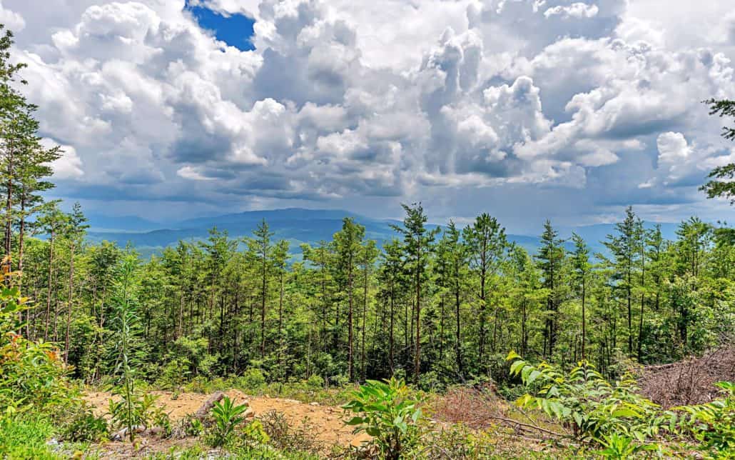 Tract 21 Look Rock Crest Drive Maryville, TN 37803 - Photo 14