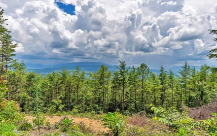 Tract 21 Look Rock Crest Drive Maryville, TN 37803 - Photo 14