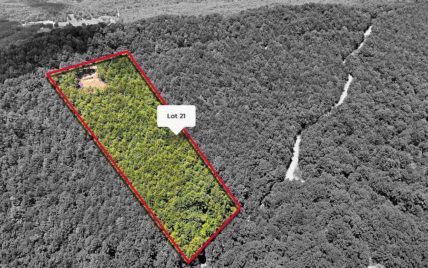 Tract 21 Look Rock Crest Drive Maryville, TN 37803 - Photo 16