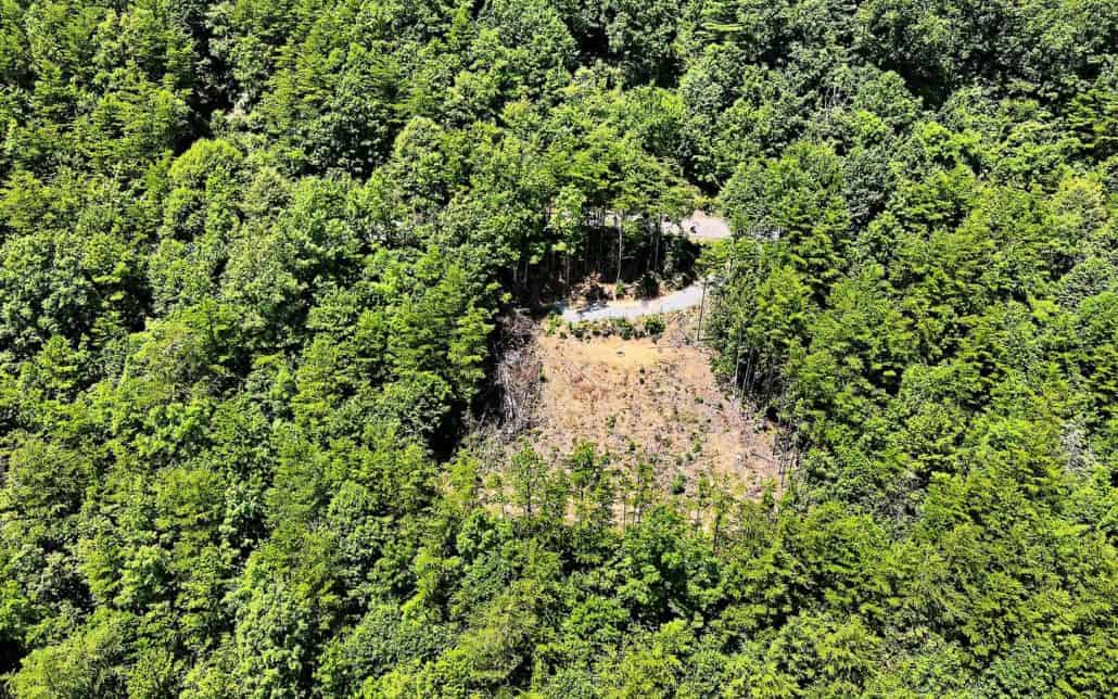 Tract 21 Look Rock Crest Drive Maryville, TN 37803 - Photo 17