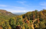 Alpine Drive, Sevierville, TN 37876 - Photo 16