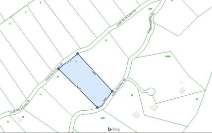 Tract 21 Look Rock Crest Drive Maryville, TN 37803 - Photo 22