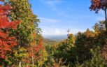 Alpine Drive, Sevierville, TN 37876 - Photo 21