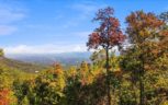 Alpine Drive, Sevierville, TN 37876 - Photo 22