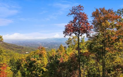Alpine Drive - Photo 22