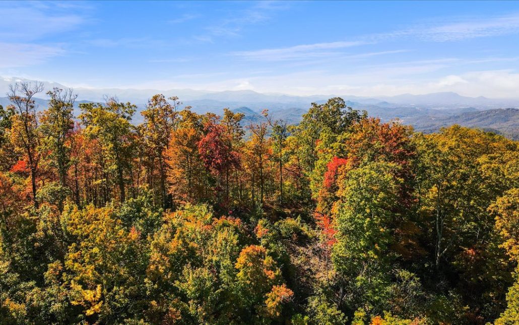 Alpine Drive, Sevierville, TN 37876 - Photo 23