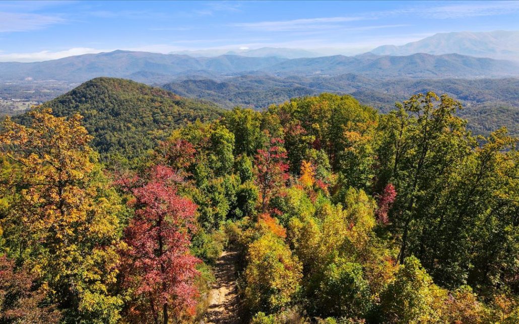 Alpine Drive, Sevierville, TN 37876 - Photo 24