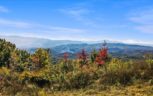 Alpine Drive, Sevierville, TN 37876 - Photo 27