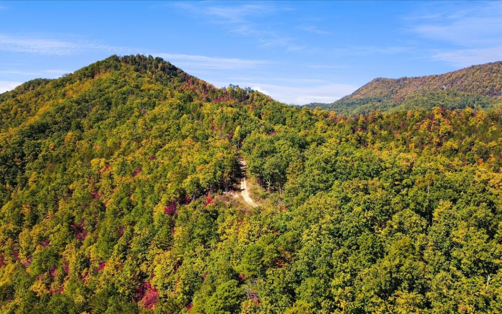 Alpine Drive, Sevierville, TN 37876 - Photo 29
