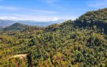 Alpine Drive, Sevierville, TN 37876 - Photo 33