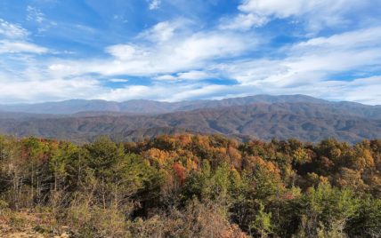 Tract 21 Look Rock Crest Drive Maryville, TN 37803 - Photo 4