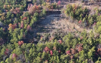 Tract 21 Look Rock Crest Drive Maryville, TN 37803 - Photo 5