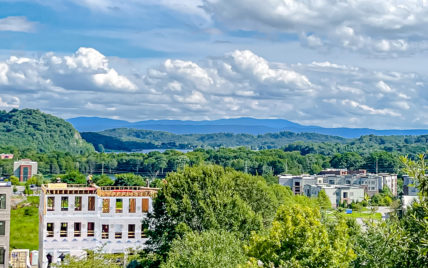 9439 Clingmans Dome Drive, Knoxville, TN 37922 - Photo 21