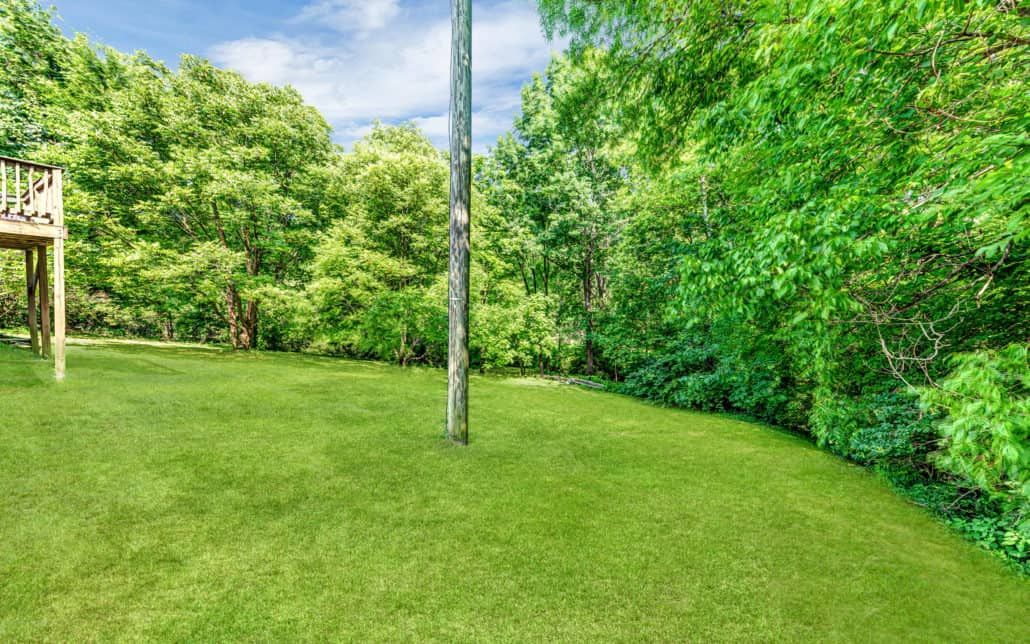 127 Ingersoll Ave, Knoxville, TN 37920 - Photo 7