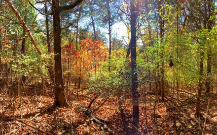 900 Harbour View Drive Lenoir City, TN 37772 - Photo 10